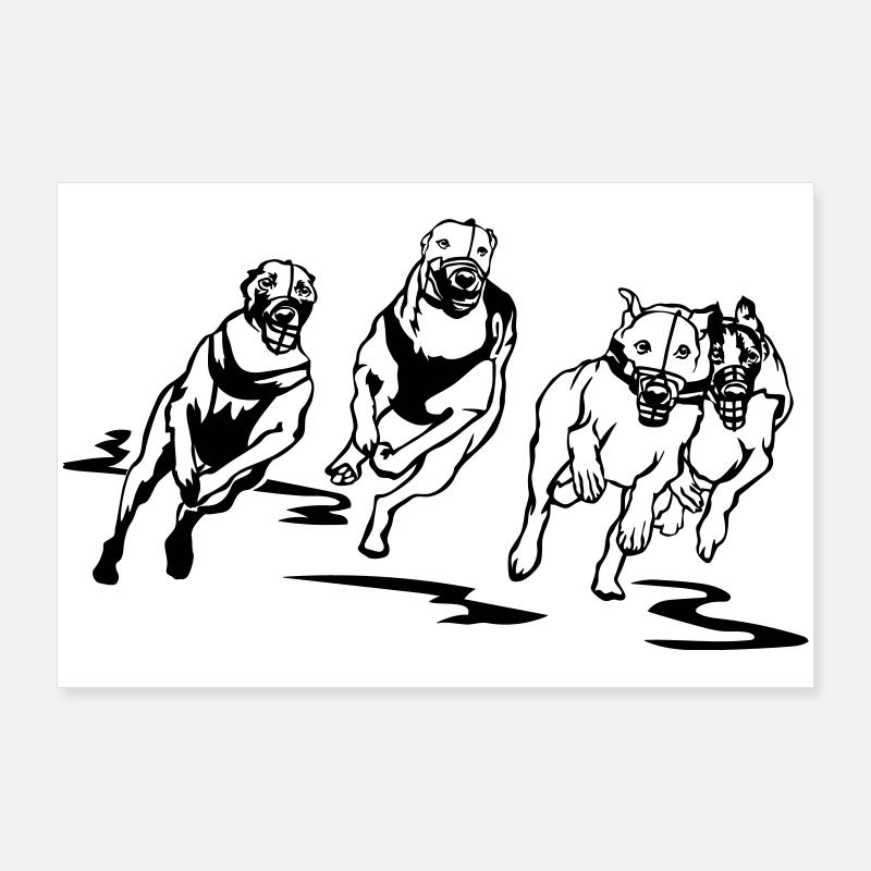 Whippets Poster 90x60 cm