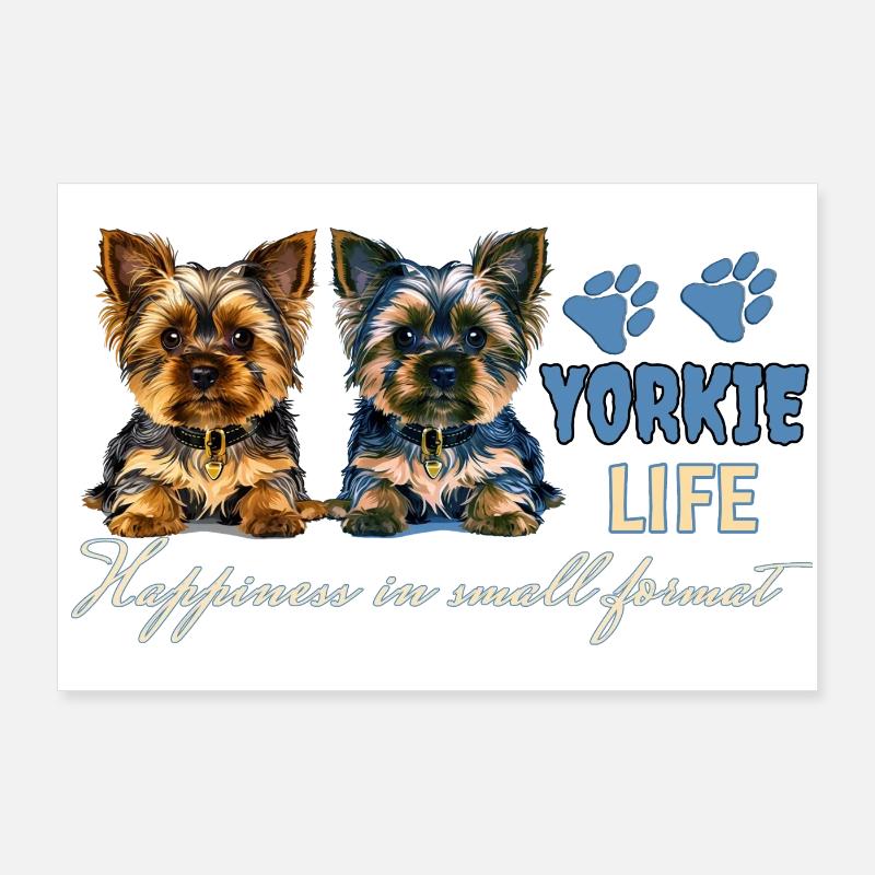 Chiots Yorkie Poster 90 x 60 cm