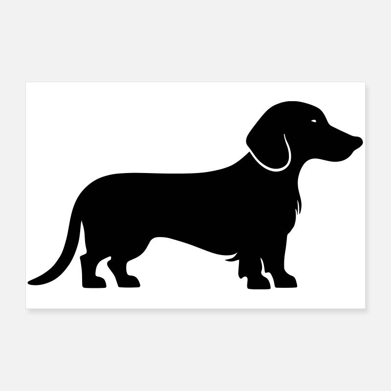 Dachshund Dackel - Poster 36" x 24" (90x60 cm) - white