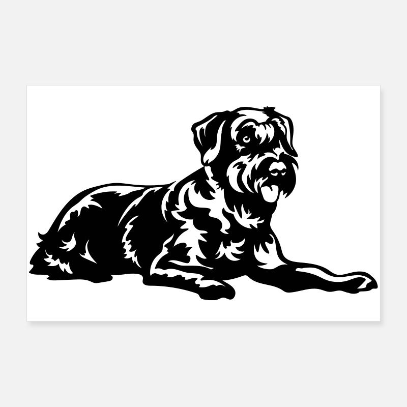 Schnauzer géant Poster 90 x 60 cm