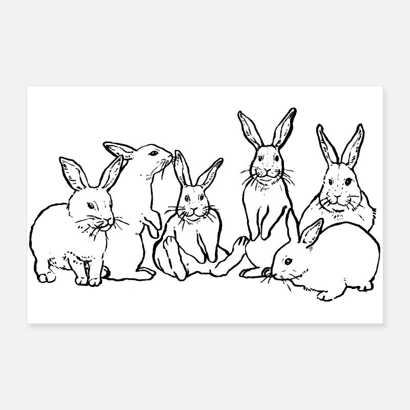 BANDE DE LAPINS Poster 90 x 60 cm
