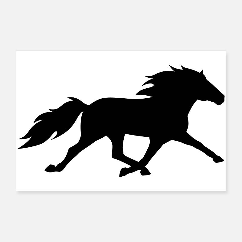 Cheval islandais dans le pass de course - Poster 90 x 60 cm - blanc