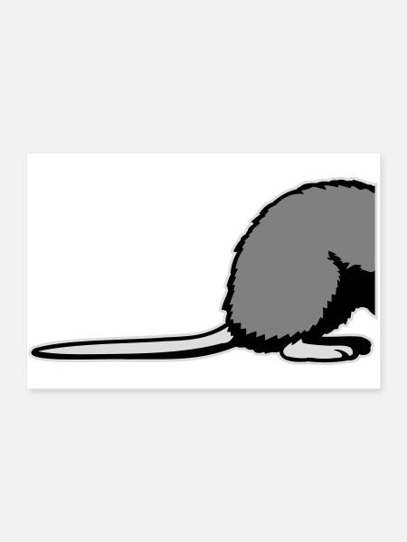 Rat Backside Semi Funny Tail Rodent Animal - Poster 36" x 24" (90x60 cm) - white - Front
