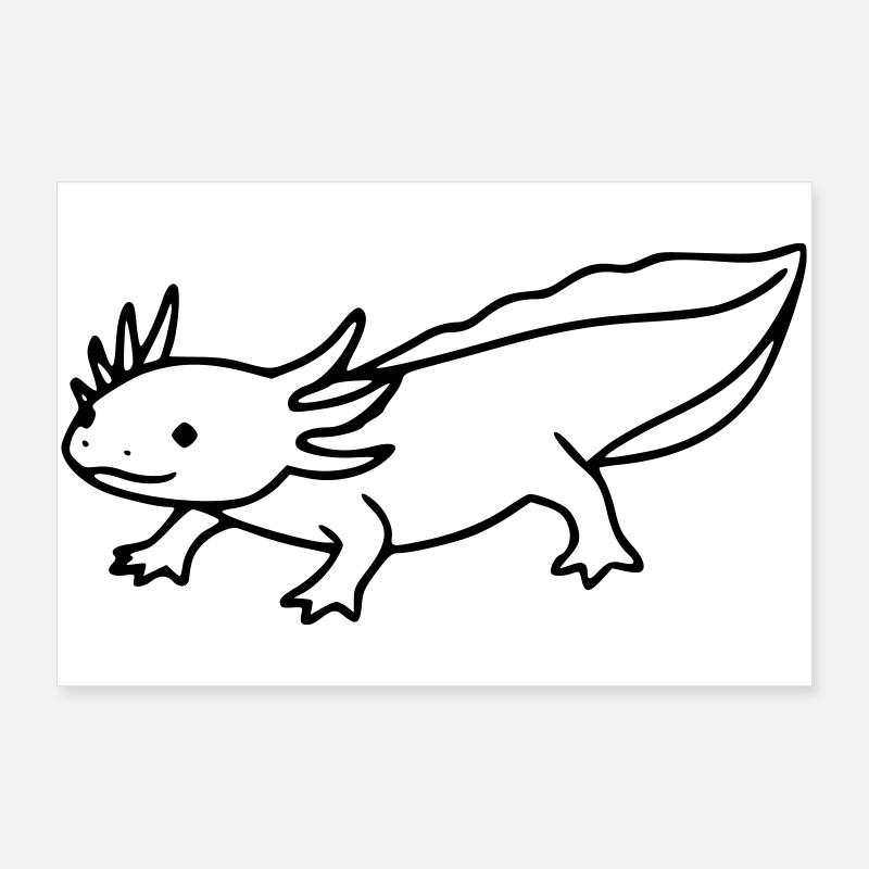 Axolotl Line Drawing | Minimalist amphibian Poster 36" x 24" (90x60 cm)
