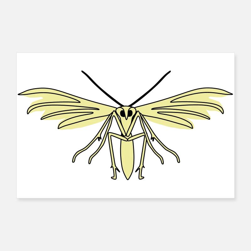 Teigne des plumes Poster 90 x 60 cm