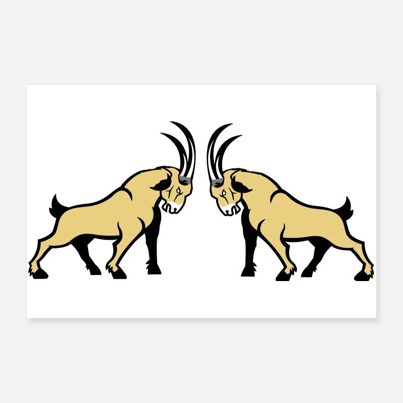 Steinbock Beige Doppelbull Symmetrie - Poster 90x60 cm - Weiß