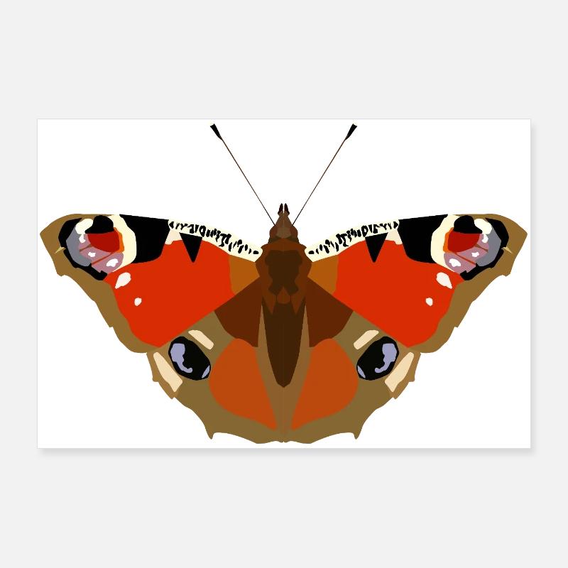 Papillons : Le papillon paon - Poster 90 x 60 cm - blanc
