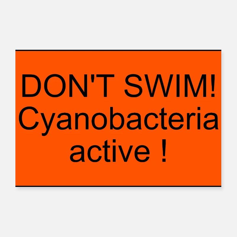 Cyanobacteria Poster 12" x 8" (30x20 cm)