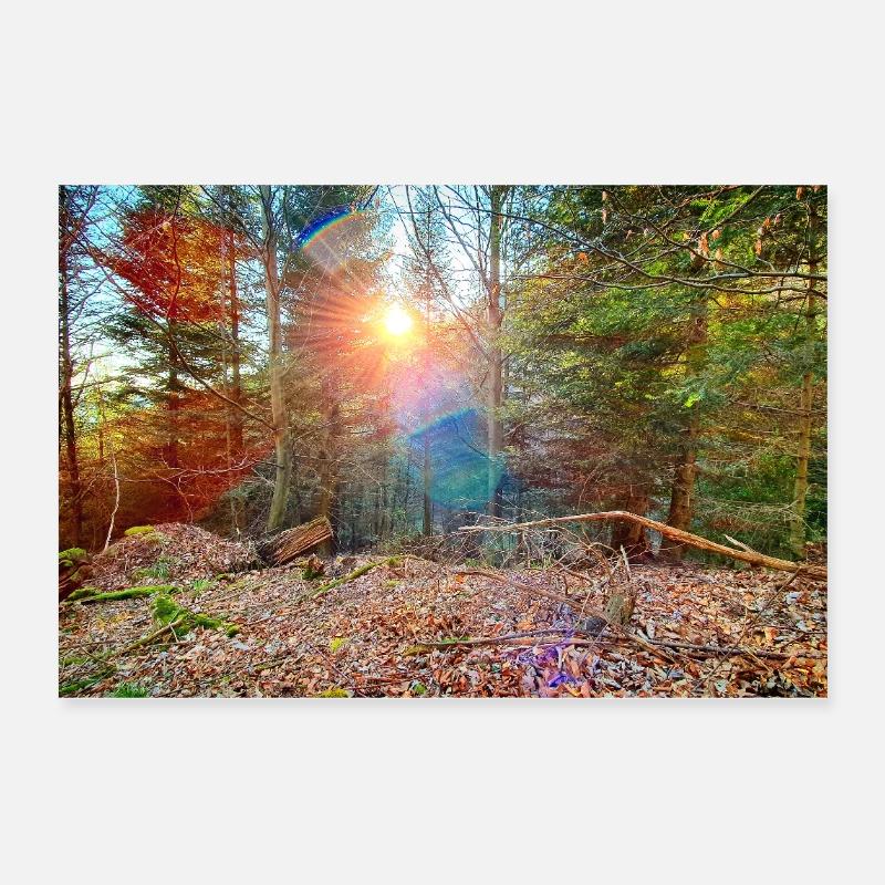 Sonnenlicht im Herbstwald - Poster 30x20 cm - Weiß