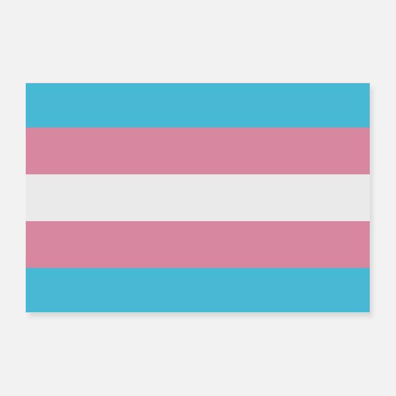 Trans-Flagge Poster 30x20 cm