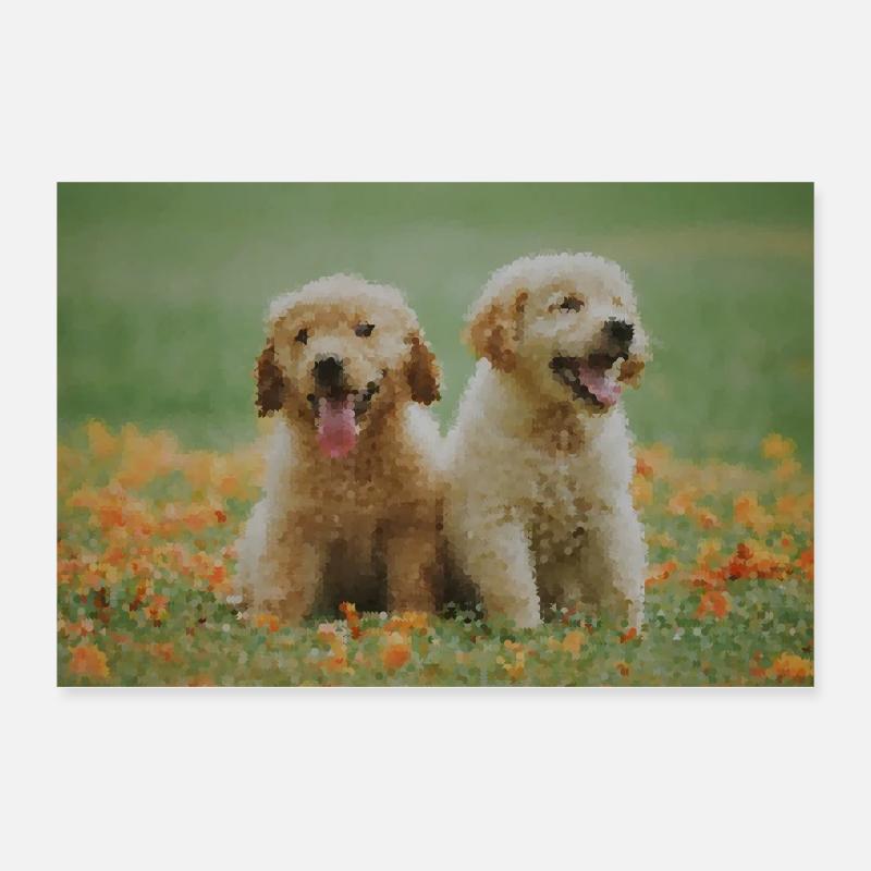 2 chiots Labrador Retriever dans le champ de fleurs Poster 30 x 20 cm