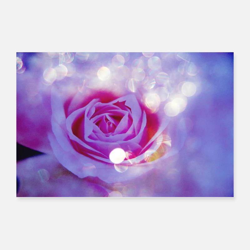 Rose's bright multiple exposure Poster 12" x 8" (30x20 cm)