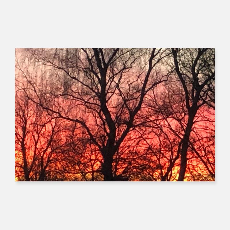 coucher de soleil Poster 30 x 20 cm