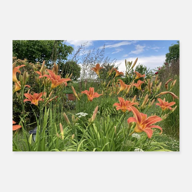 Lis Poster 30 x 20 cm