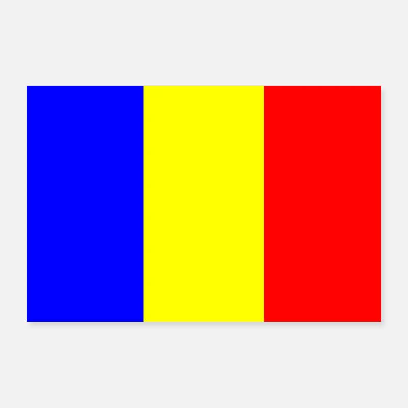 Drapeau de la Roumanie avec design de barre de couleur Poster 30 x 20 cm