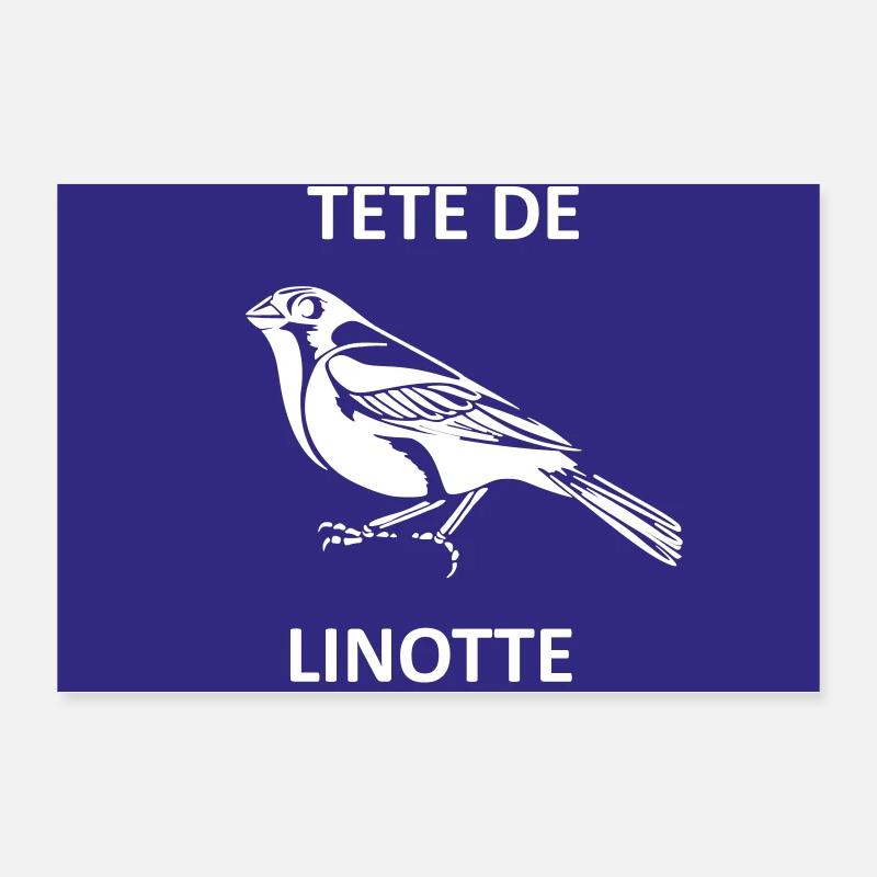 Linnet head Poster 12" x 8" (30x20 cm)