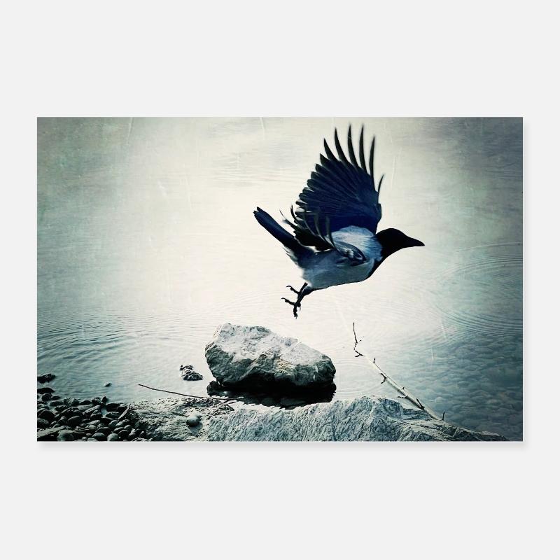 Crow's Flight - Poster 12" x 8" (30x20 cm) - white