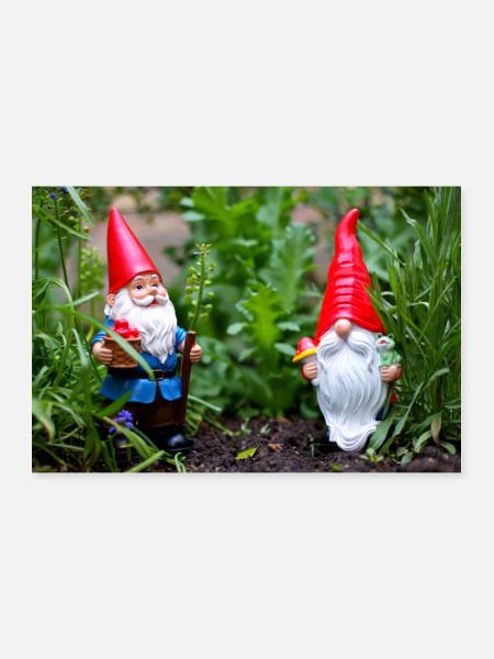 Garden gnome in the flower garden - Poster 12" x 8" (30x20 cm) - white - Front