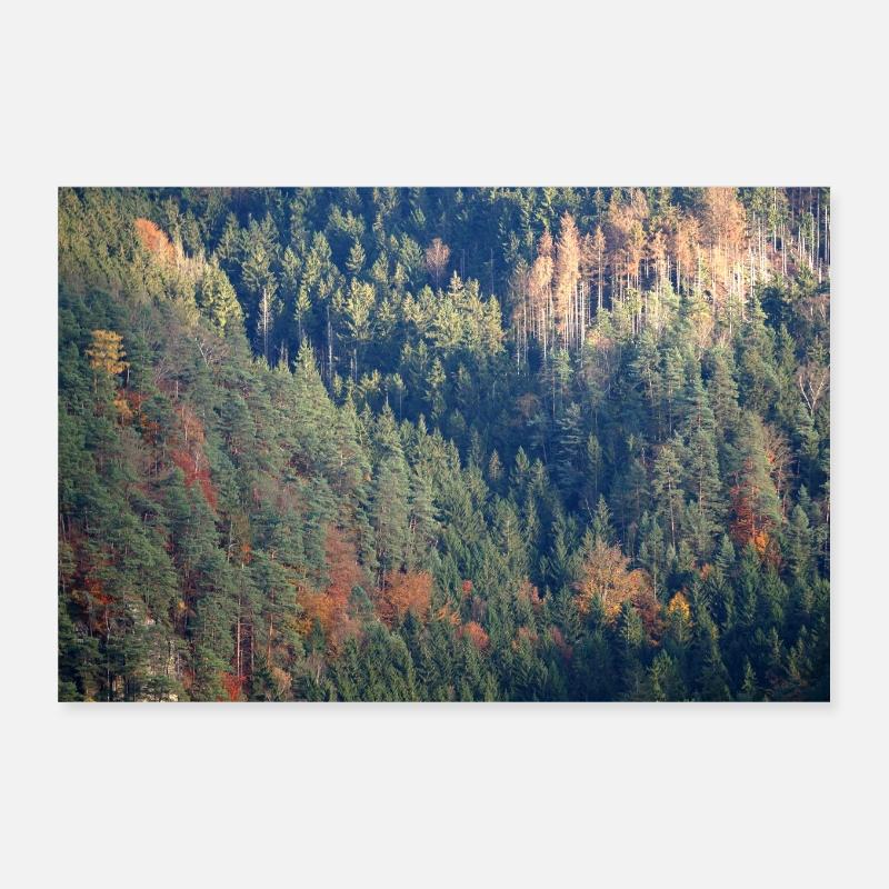 Affiche de la forêt Poster 30 x 20 cm