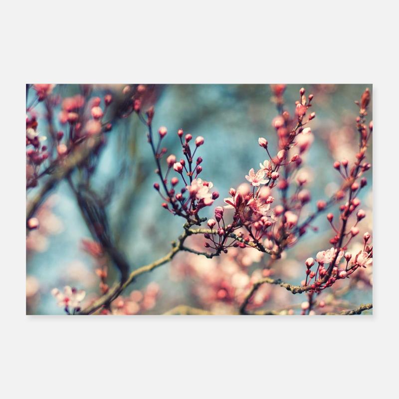 fleurs de printemps Poster 30 x 20 cm