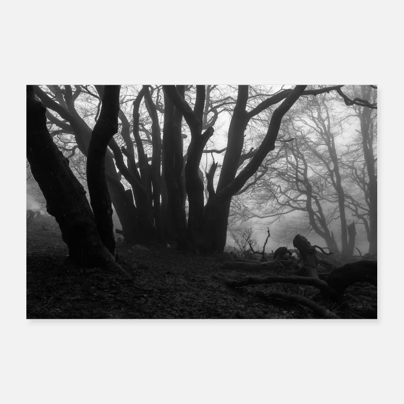 Wald 8 - Poster 30x20 cm - Weiß
