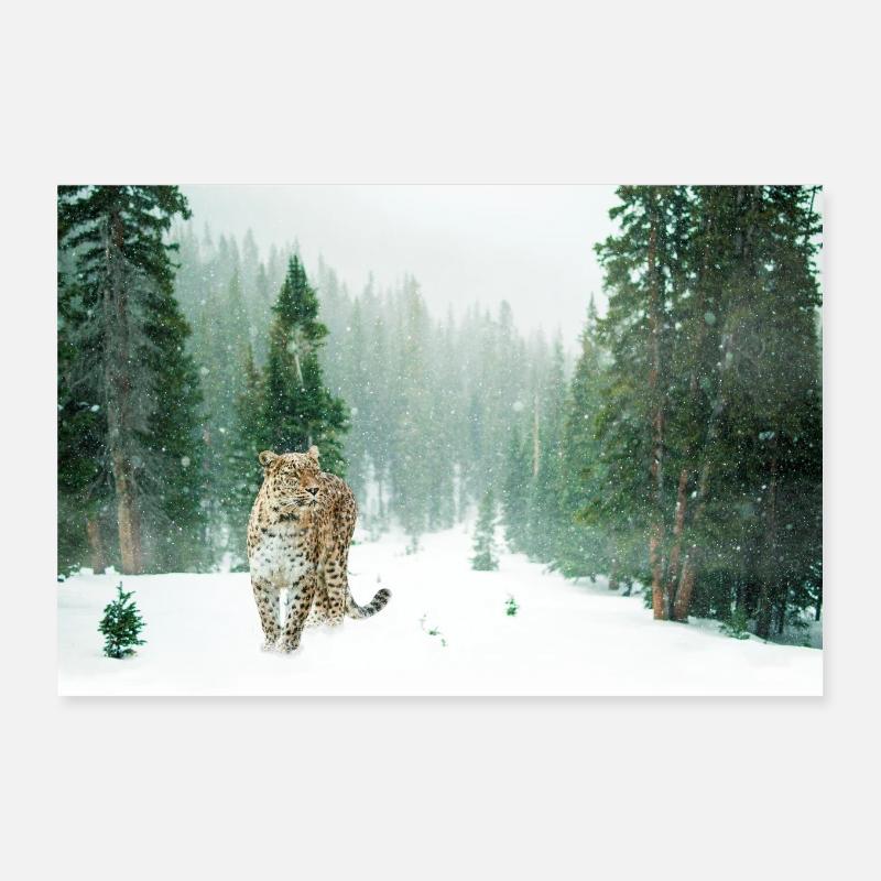 léopard - Poster 30 x 20 cm - blanc