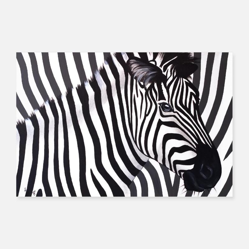 Poster Zebra 90x60 quer Poster 30x20 cm