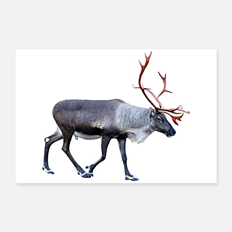 Magischer Hirsch mit Rentiergeweih-Details Poster 30x20 cm