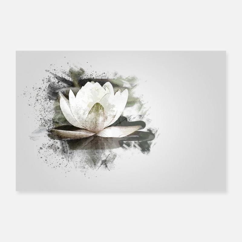 White water lily Poster 12" x 8" (30x20 cm)