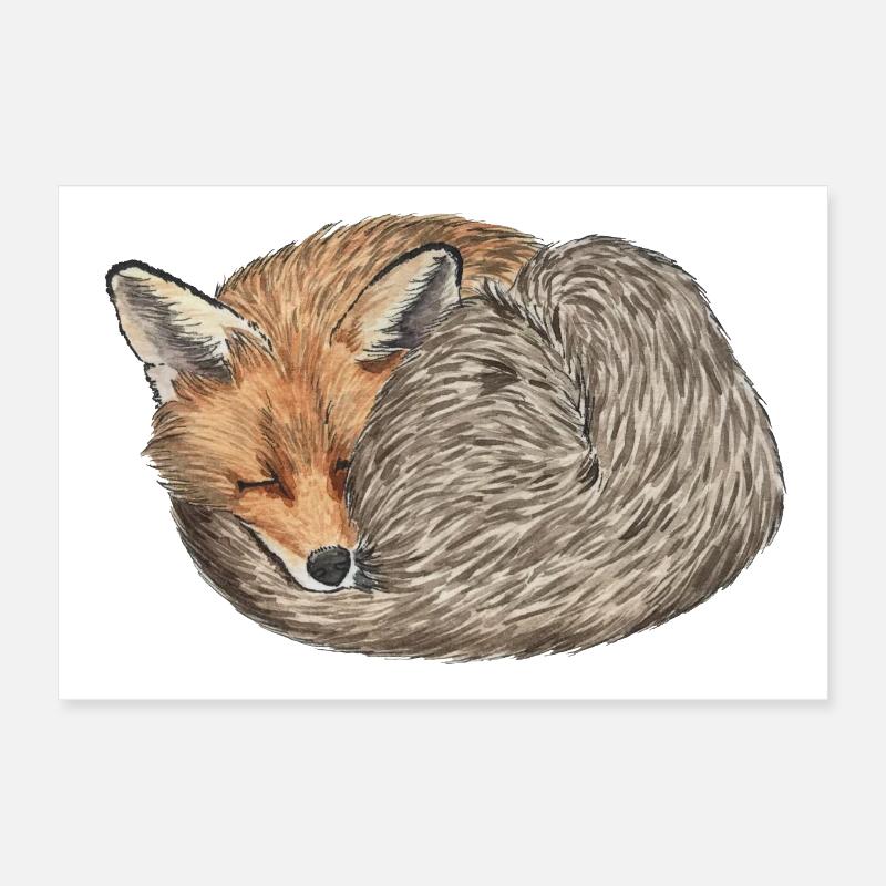 sleeping curled red fox Poster 12" x 8" (30x20 cm)