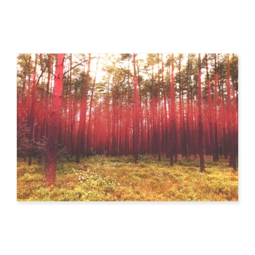 Herbst [Motiv 4] - Poster 30x20 cm