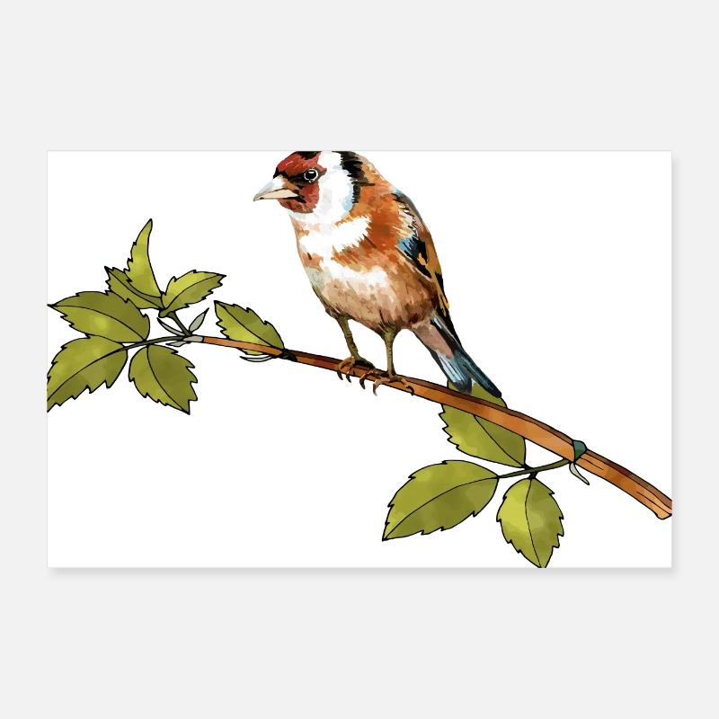 Vogel Poster 30x20 cm