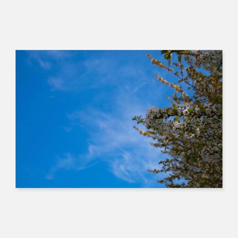 ciel fleuri - Poster 30 x 20 cm - blanc