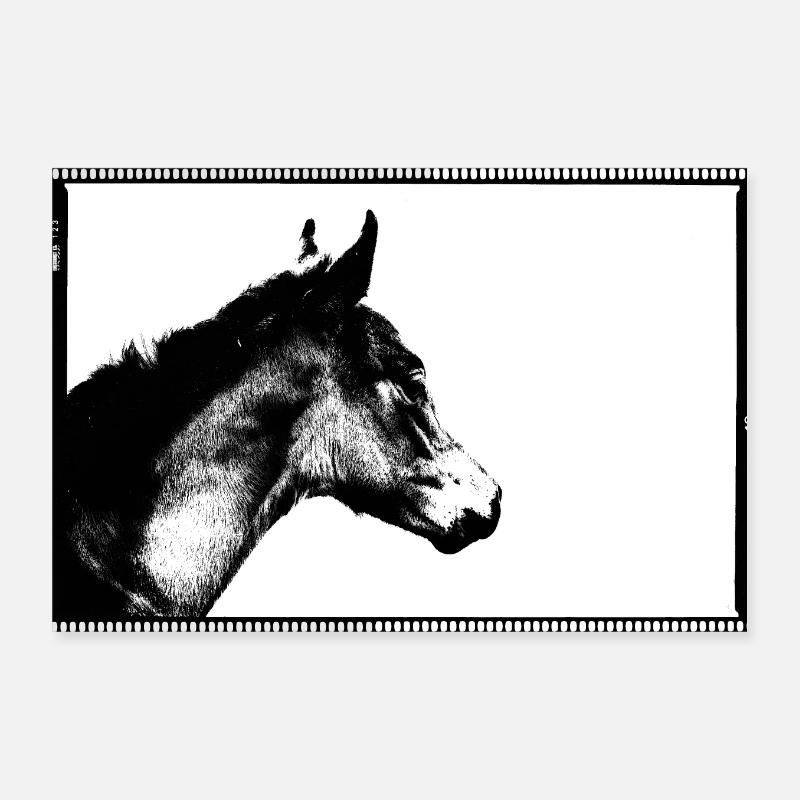 Rêveuse la pouliche Poster 30 x 20 cm