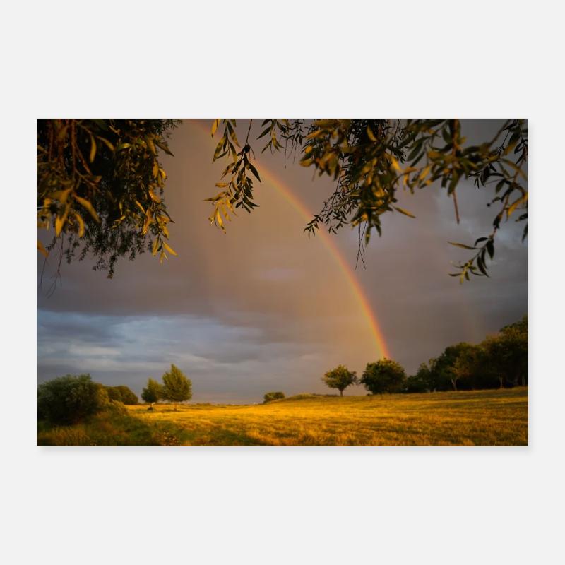 Prairie dorée avec arc-en-ciel Poster 30 x 20 cm