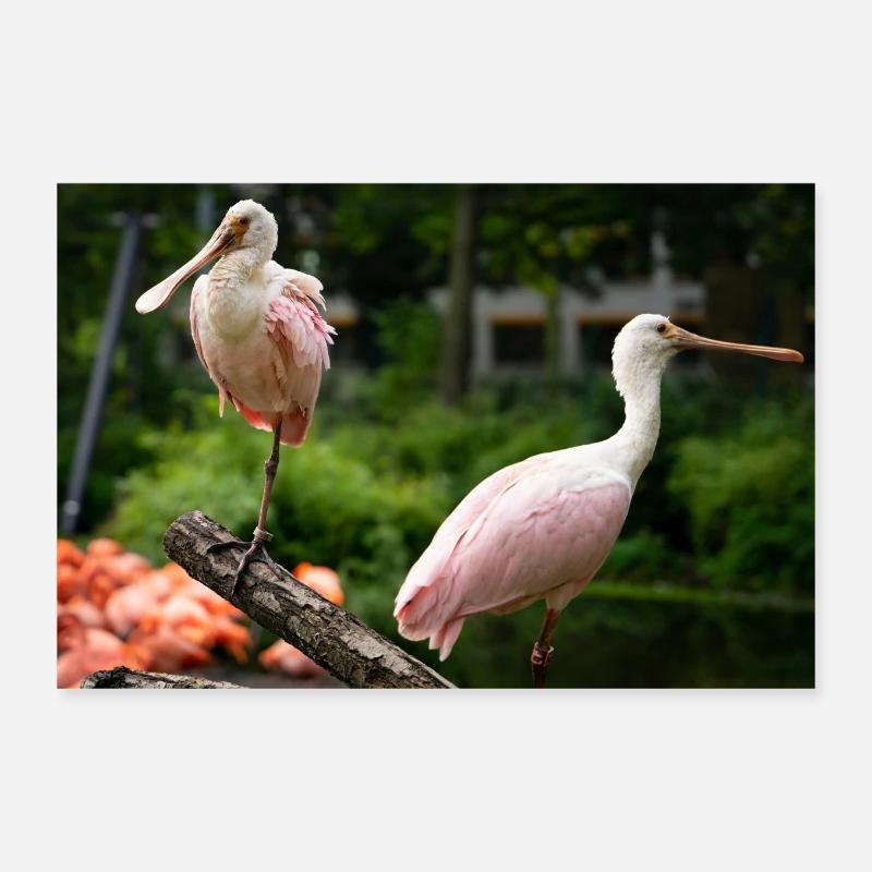 Löffler Poster 30x20 cm