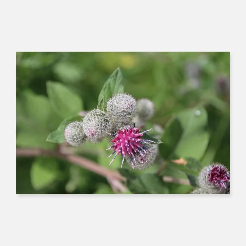 Klette Poster 30x20 cm