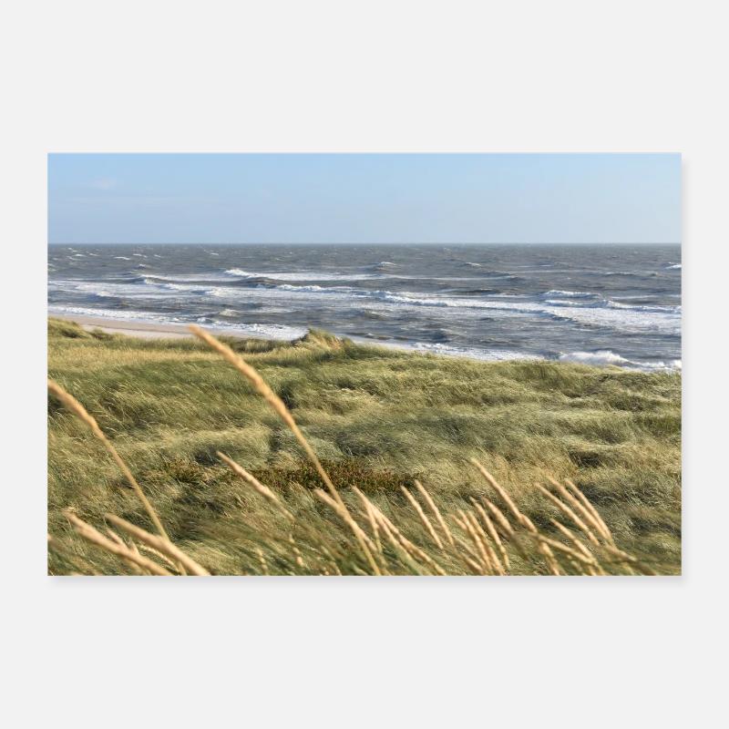 Vent dans les dunes Poster 30 x 20 cm
