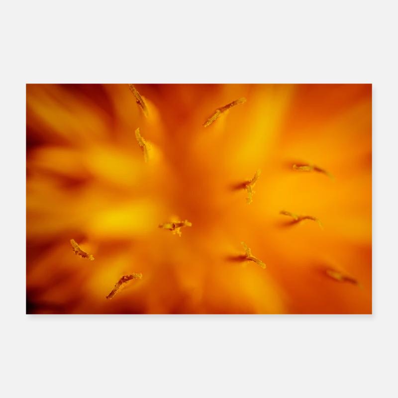 pisenlit Poster 30 x 20 cm