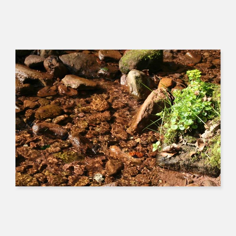 Kleiner Waldbach am Stein Poster 12" x 8" (30x20 cm)