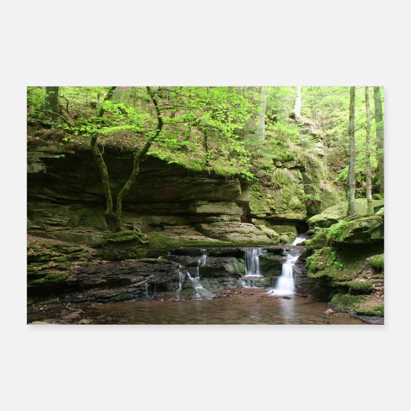 Forêt-Noire Monbach Poster 30 x 20 cm