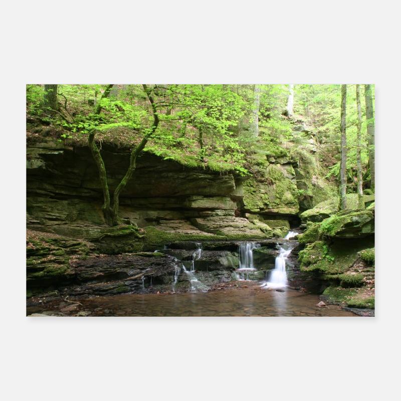 Forêt-Noire Monbach Poster 30 x 20 cm