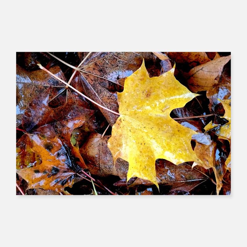 Feuille d’érable jaune aussi tapis d’automne pluvieux Poster 30 x 20 cm