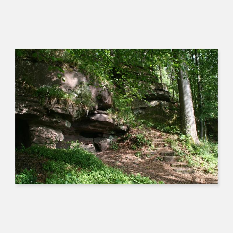 Northern Black Forest Poster 12" x 8" (30x20 cm)