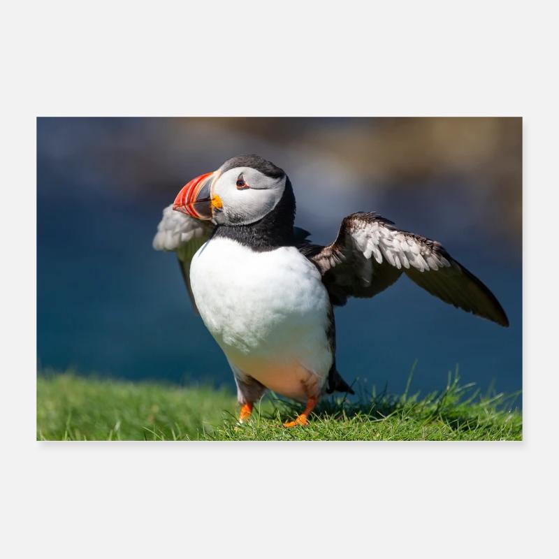 Puffin Poster 12" x 8" (30x20 cm)