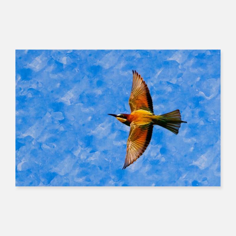 Bee-eaters in flight Poster 12" x 8" (30x20 cm)