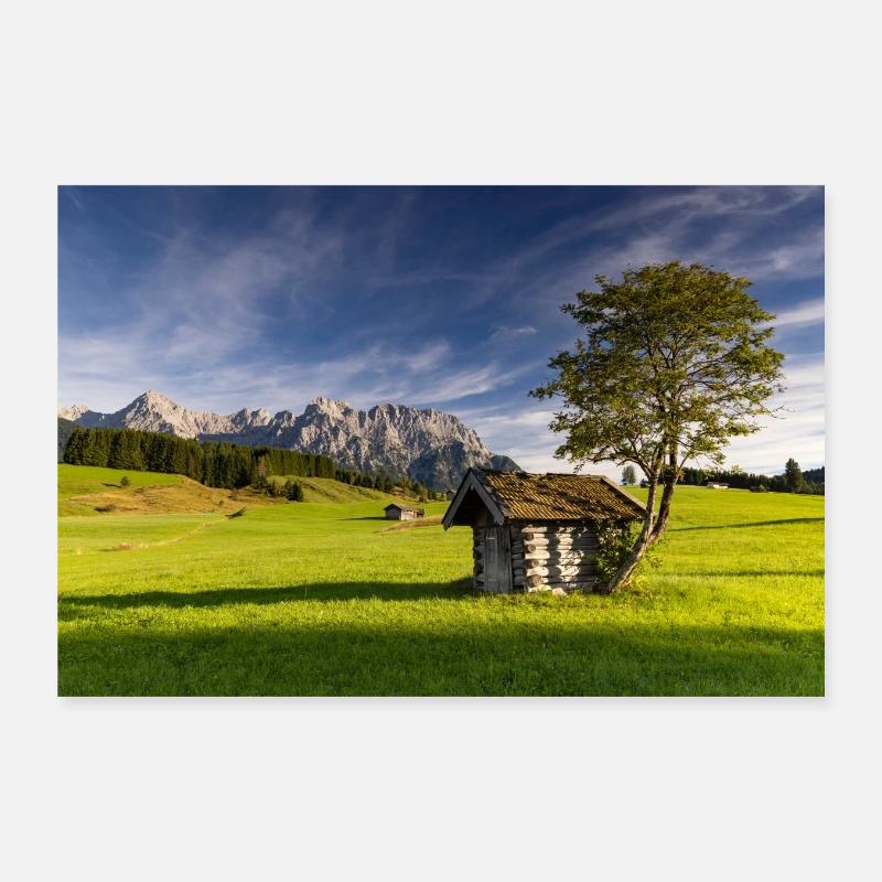 Prairies de rorquals à bosse près de Mittenwald Poster 30 x 20 cm