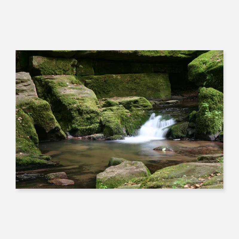 MONBACH IM NORDSCHWARZWALD Poster 30x20 cm