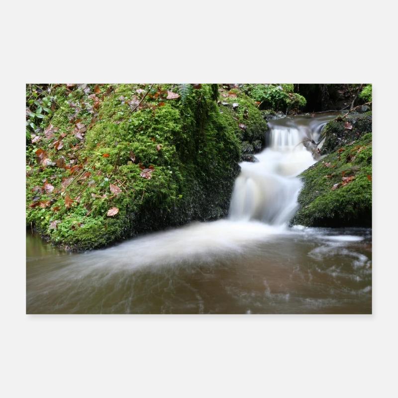 WALDBÄCHLEIN - Poster 30x20 cm - Weiß
