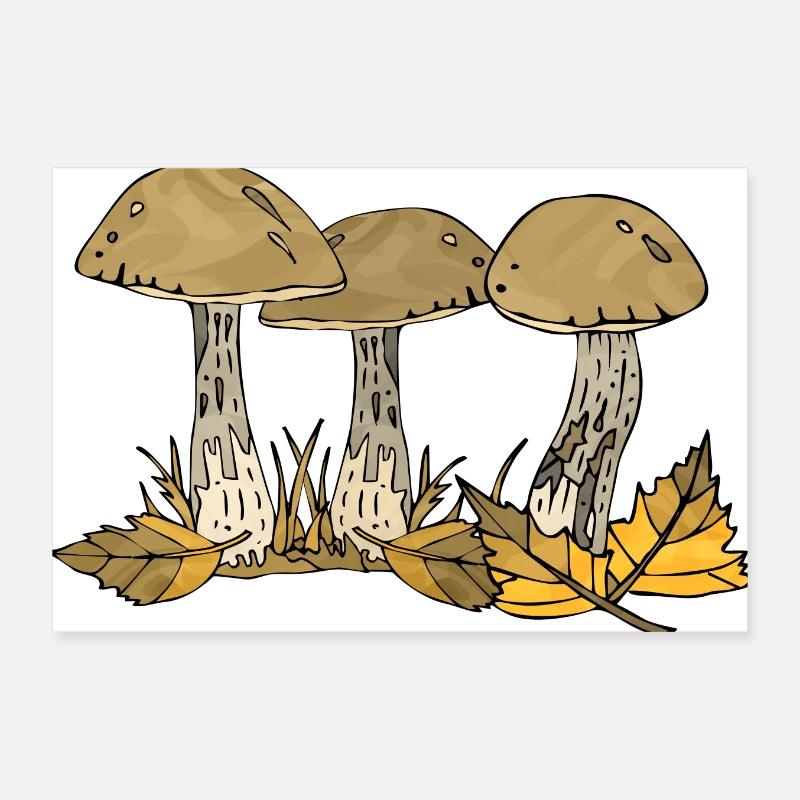 Pilze Poster 30x20 cm